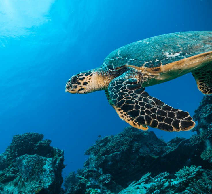 WEB nws img 1hero 11 07 25 MEA Explorer