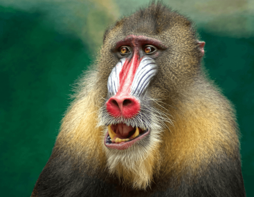 nws img 1hero 01 05 26 MEA Explorer