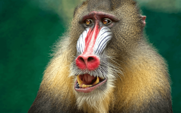 nws img 1hero 01 05 26 MEA Explorer