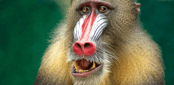 nws img 1hero 01 05 26 MEA Explorer