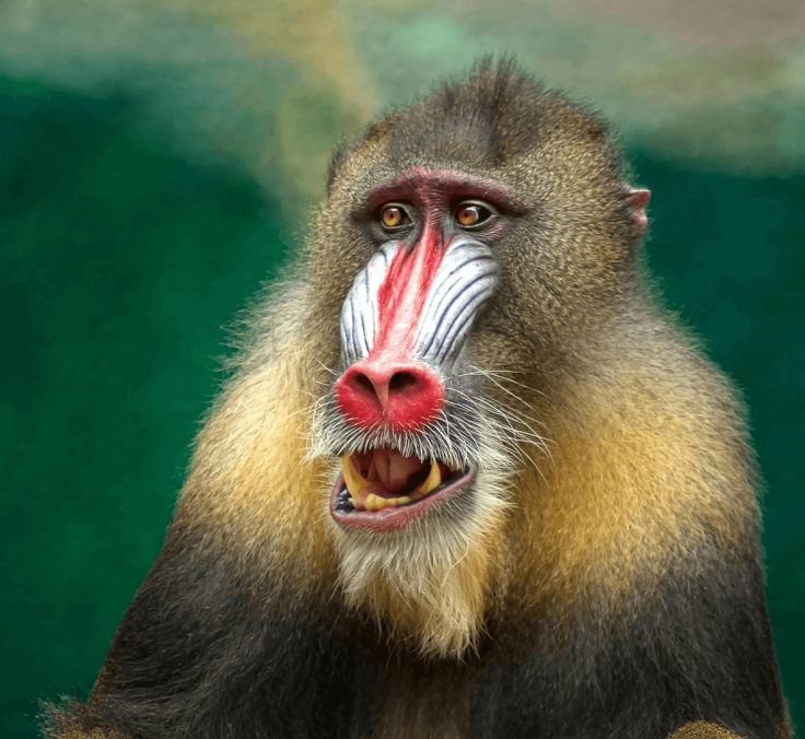 nws img 1hero 01 05 26 MEA Explorer